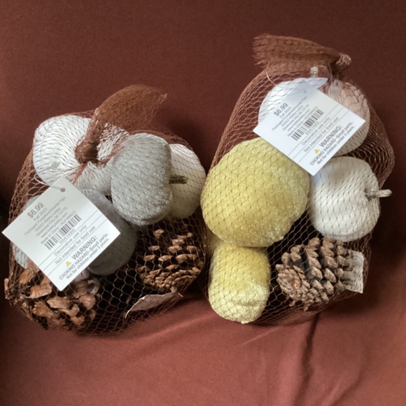 Fall 2023 Packaged Pumpkins/Gourds/10 pc New With Tag - Picture 8 of 8